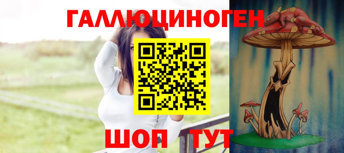 Псилоцибиновые грибы ЛСД  Вход с VPN  Псилоцибиновые грибы мицелий  Гудермес 
